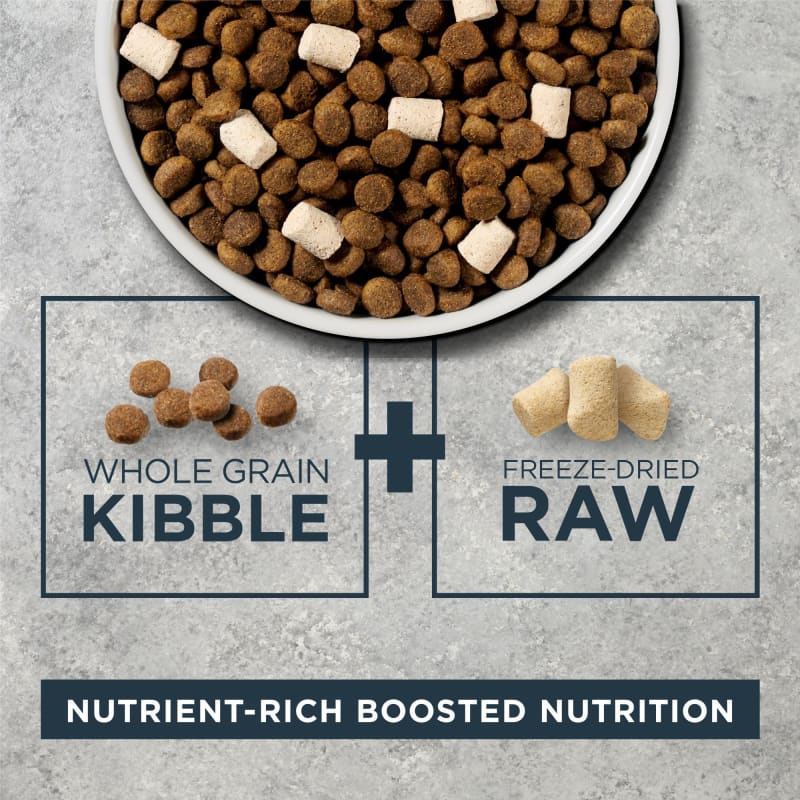 Instinct Raw Boost Whole Grain Real Lamb & Oatmeal Recipe Dry Dog Food 4.5lbs - High Protein Grain Dog Food for Adult Dogs - Perfect for Active Pets & Training Treats