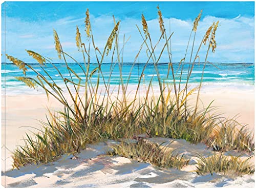 Beach Grass