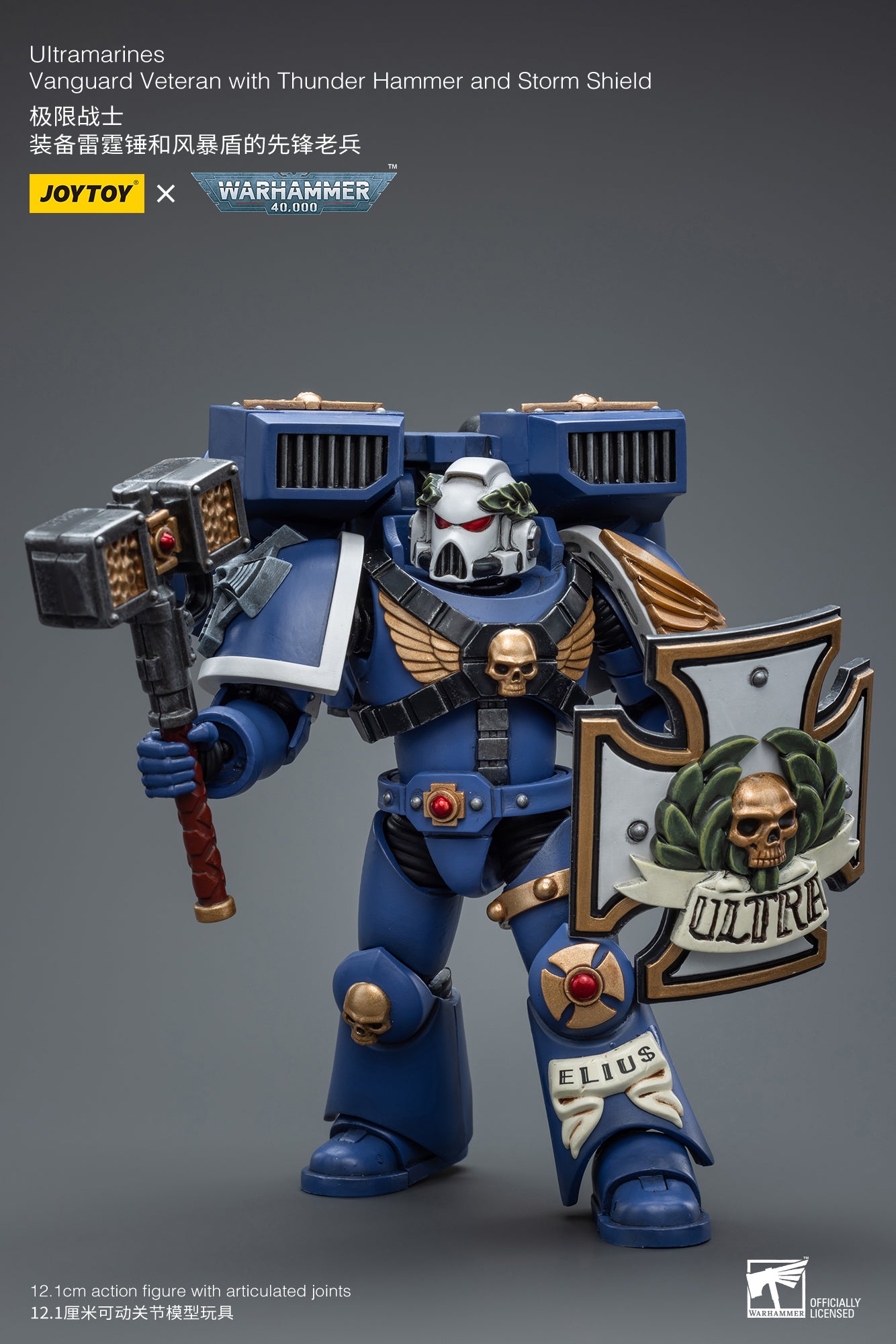 1/18 JOYTOY Warhammer 40K Ultramarines Vanguard Veteran Action Figure - Collectible Miniature for Tabletop Gaming & Display