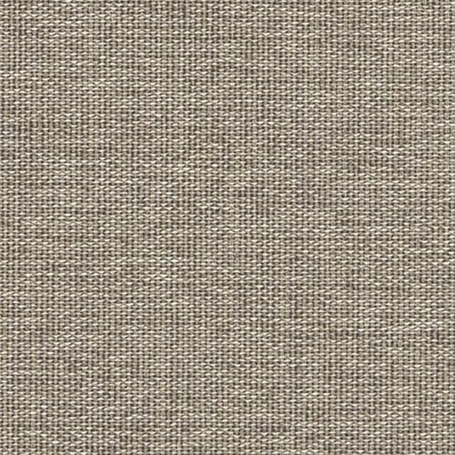 Sunbeam-camel Bo