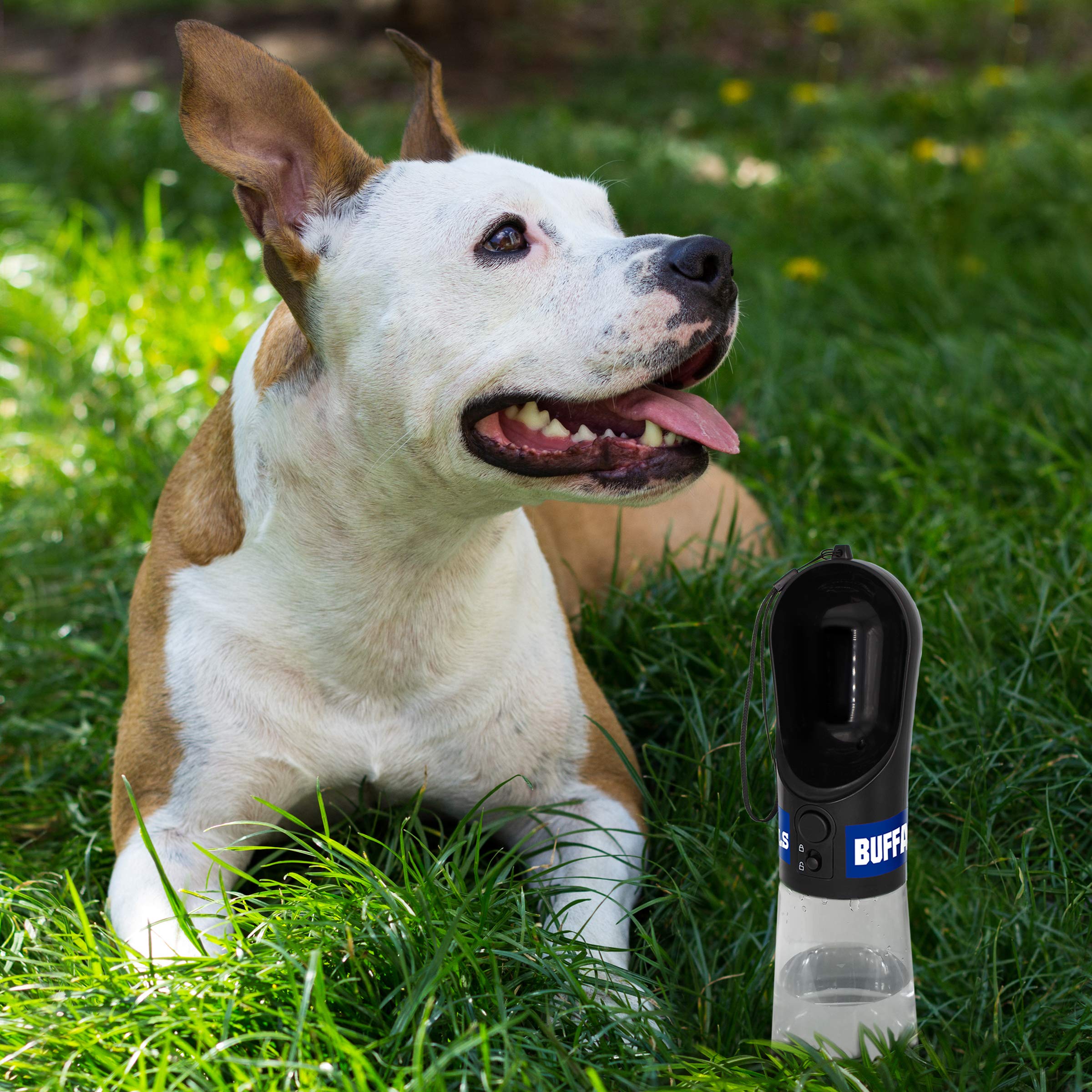 Buffalo Bills NFL Pet Water Bottle - 13.5oz Portable Dog & Cat Water Dispenser with Leak-Proof Design | Perfect for Travel, Hiking, and Outdoor Adventures with Your Pets (BUF-3344)