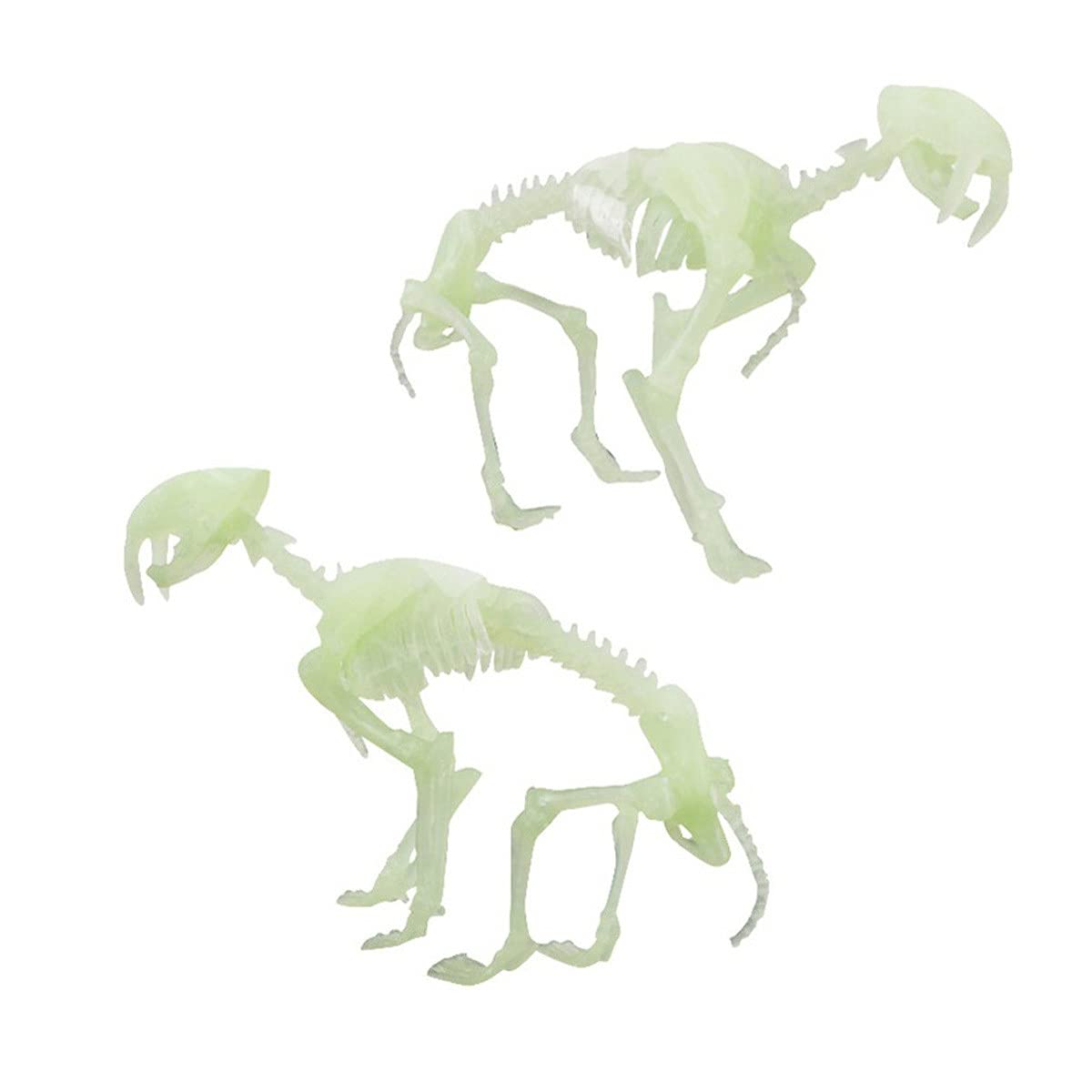 Halloween Skeleton Decor - Glow in The Dark Human Skeleton Model & Dinosaur Bones Toy Set for Women | Spooky Room Decor, Halloween Party Supplies, Trick or Treat Accessories