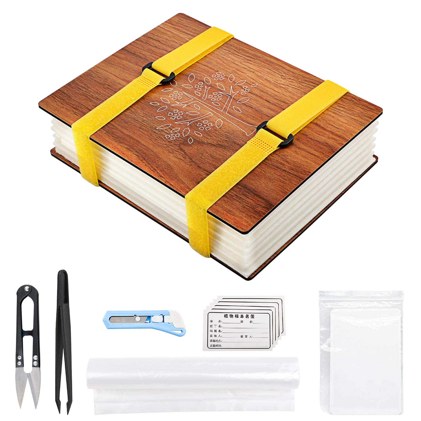 WANDIC Wooden Flower Press Kit for DIY Art, Handicrafts & Specimens - Plant Press Book for Leaves & Flowers - Perfect for Outdoor Learning, Nature Crafts & Botanical Projects