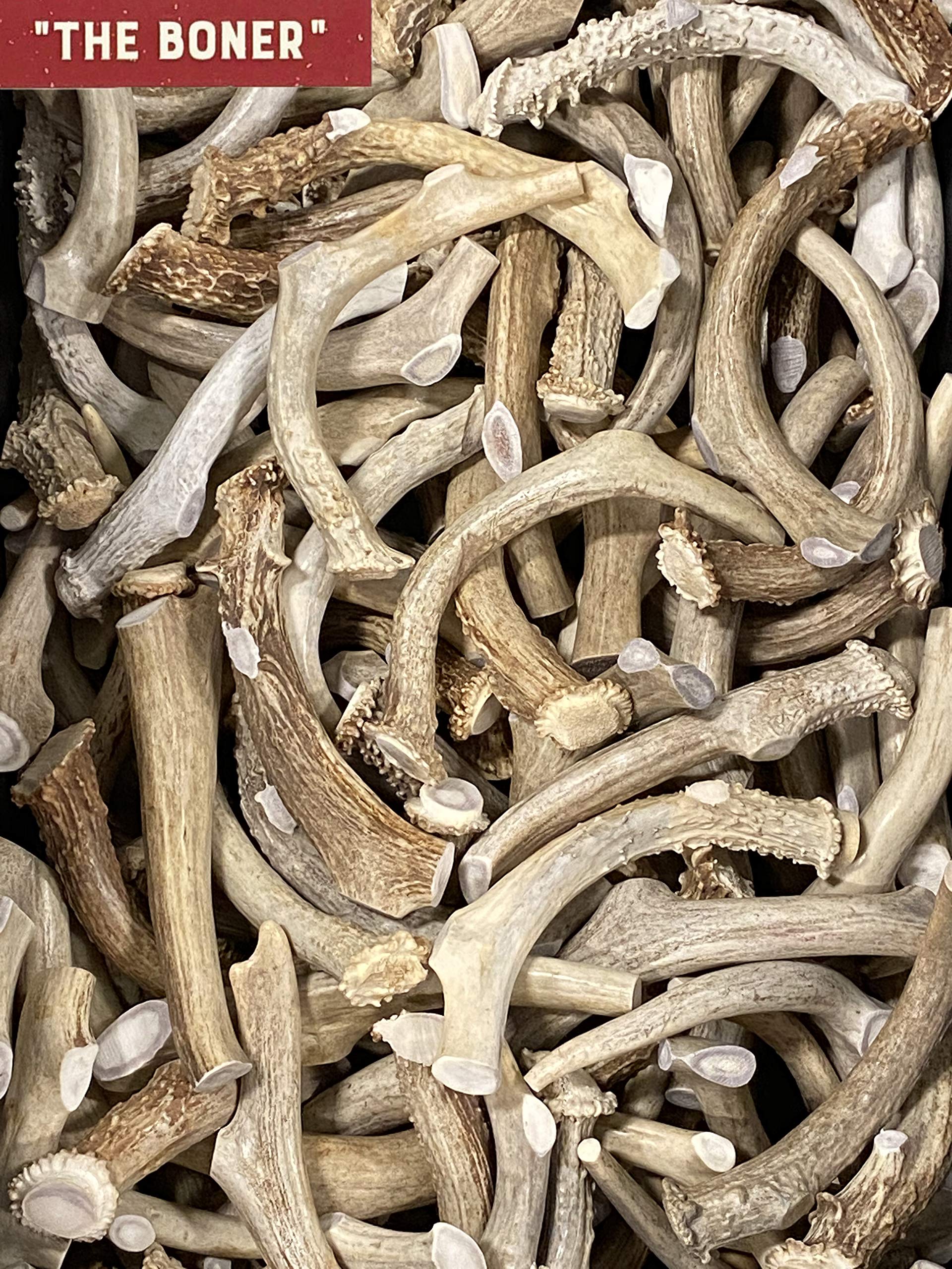 Premium Natural Dakota Deer Antler Chew Toys for Dogs - Large Size, Long-Lasting Dog Bone for Aggressive Chewers - Perfect for Teething Puppies & Dental Health