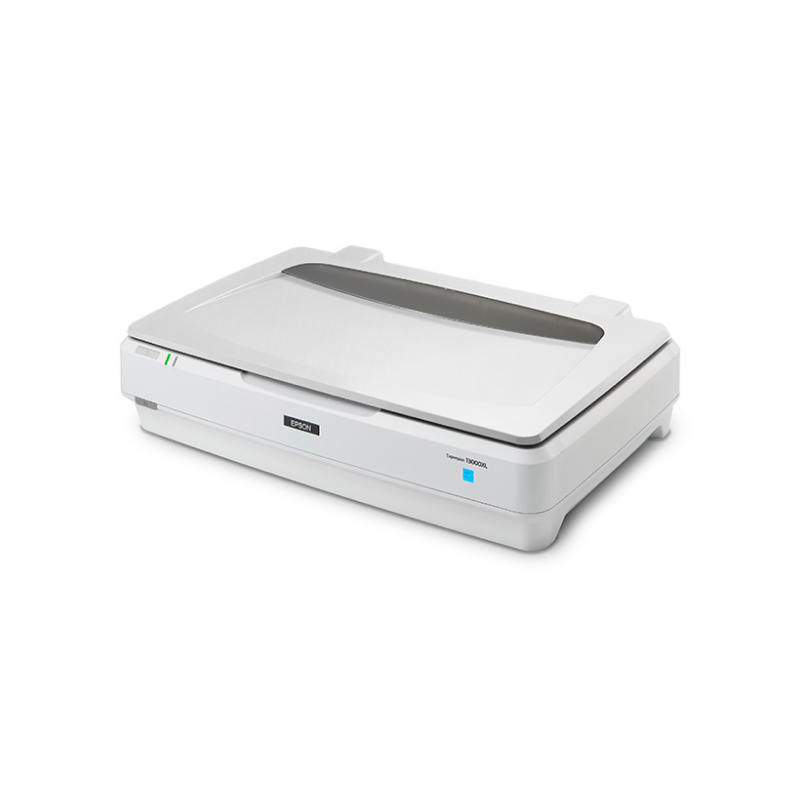 Epson Expression 13000XL A3 Flatbed Photo Scanner - High Resolution Professional Document & Photo Scanning for Artists, Photographers & Offices