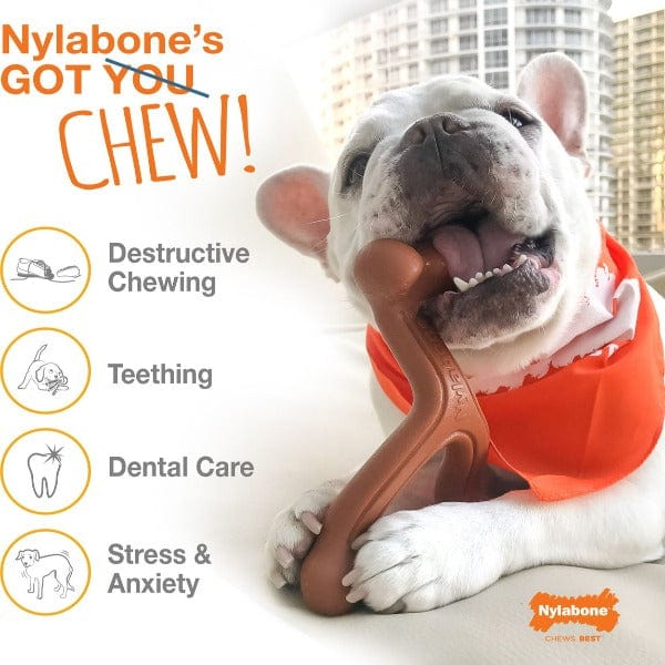 Nylabone Power Chew Bacon & Chicken Flavor Durable Dog Chew Toy for Aggressive Chewers - Tough Puppy Teething Toy for Large & Medium Dogs - Great for Indoor & Outdoor Playtime
