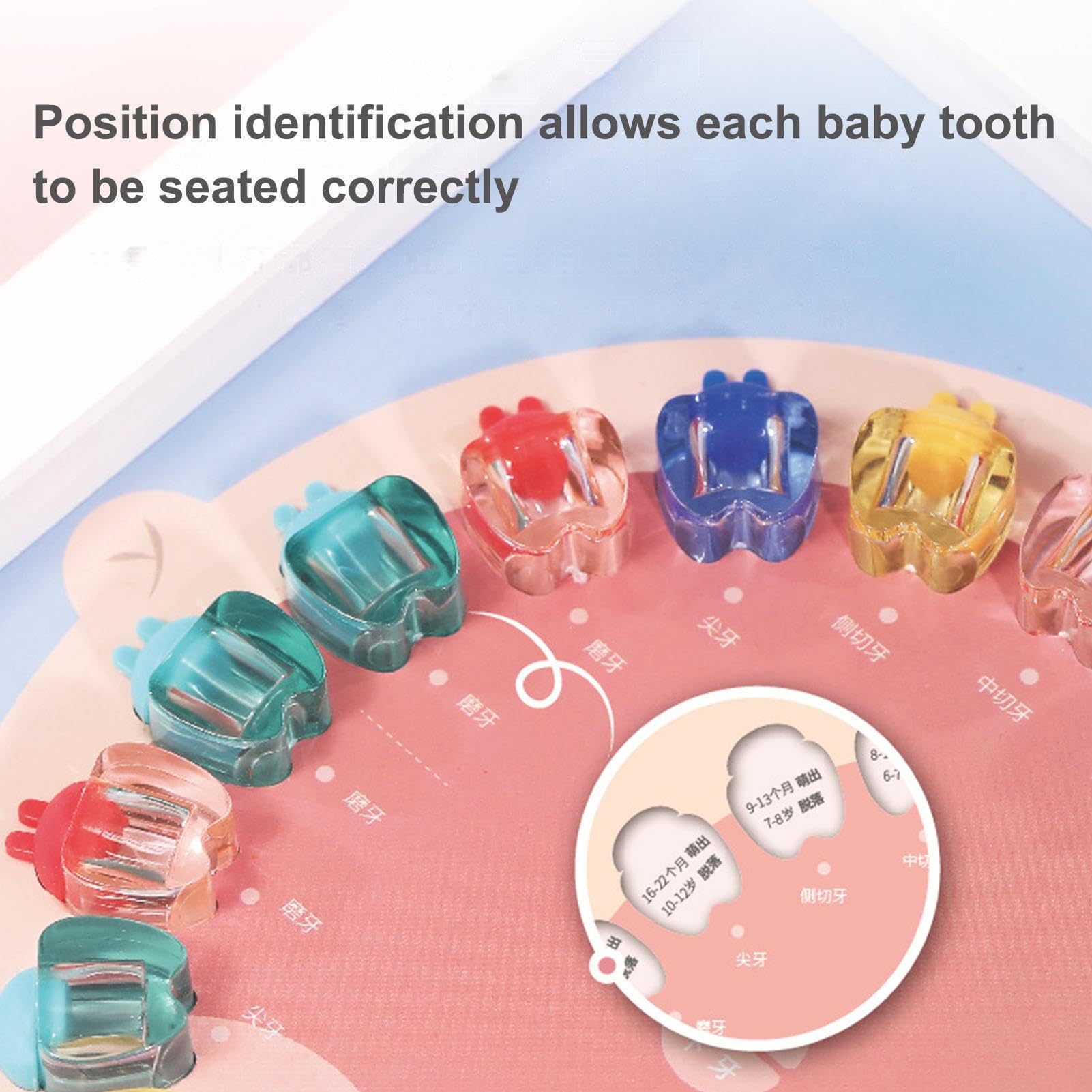 Girls' Tooth Keepsake Box - Crystal Clear Tooth Fairy Display Case for Baby & Toddler Teeth | Perfect First Tooth Celebration Gift for Kids (Great for Birthday, Christmas & Milestone Memories)