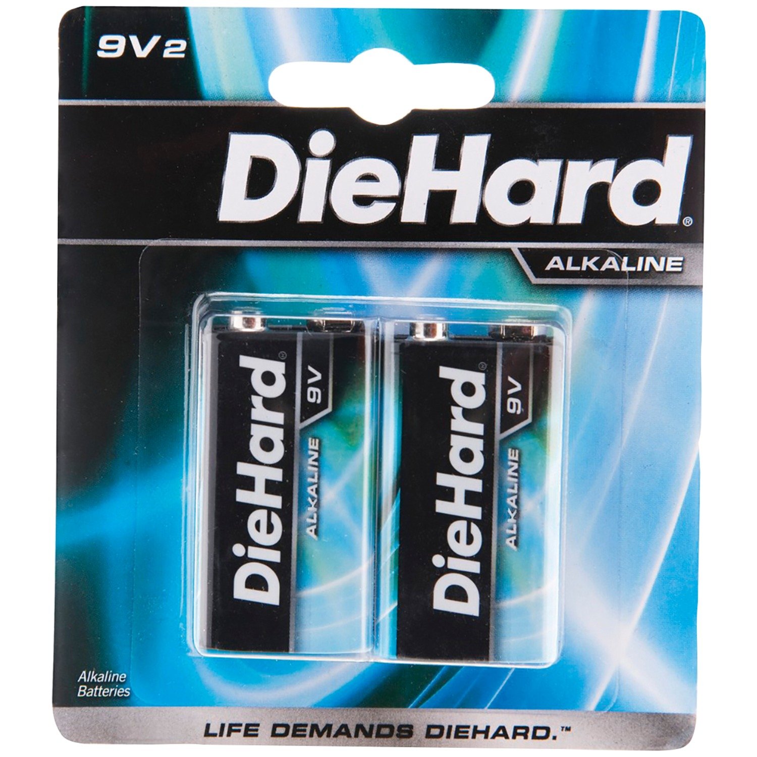 Diehard Long Lasting Alkaline Batteries 9 Volt - 2 Pack | High Performance Battery for Smoke Detectors, Toys & Electronics | Durable Power Supply
