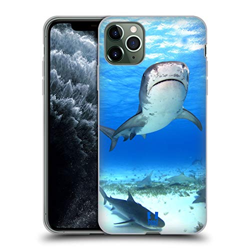 Tiger Shark