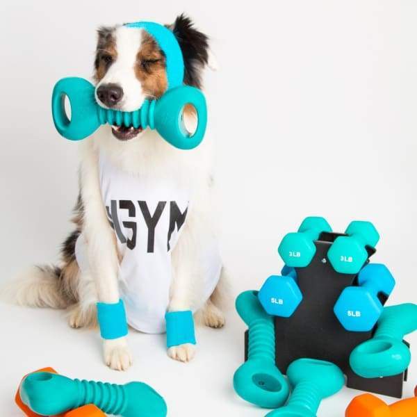 ZippyPaws ZippyTuff Squeakerz Dumbbell Dog Toy - Durable Chew Toy for Small & Medium Dogs - Perfect for Fetch, Training & Interactive Playtime