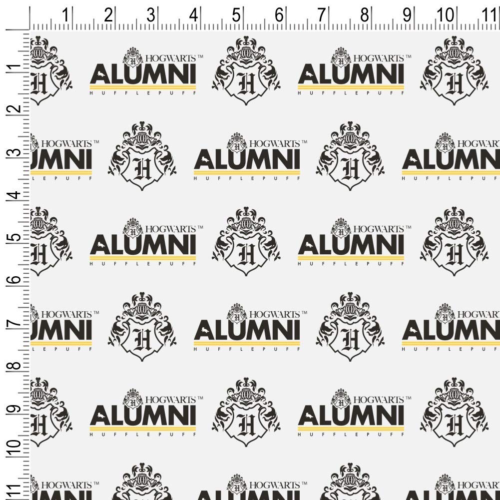 Harry Potter Hufflepuff Wrapping Paper Roll - Official Licensed Gift Wrap for Birthdays, Christmas & House Pride - Perfect for Party Decor, Book Lover Gifts & Wizarding World Fans