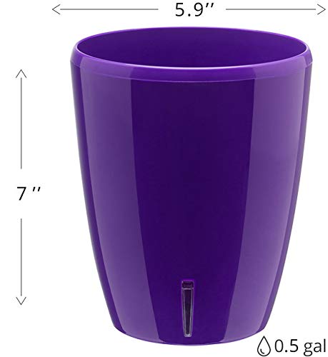 Santino 5.5 Inch Self Watering Orchid Pot - Violet Decorative Planter with Wick System, Aeration, Drainage & Water Level Indicator for Healthy Orchid Growth - Perfect for Home, Office & Indoor Gardening