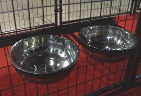 Lucky Dog Static 2-Bowl Pet Feeding System - Non-Slip Elevated Dog Bowls for Small & Medium Breeds - Perfect for Home, Travel & Outdoor Use