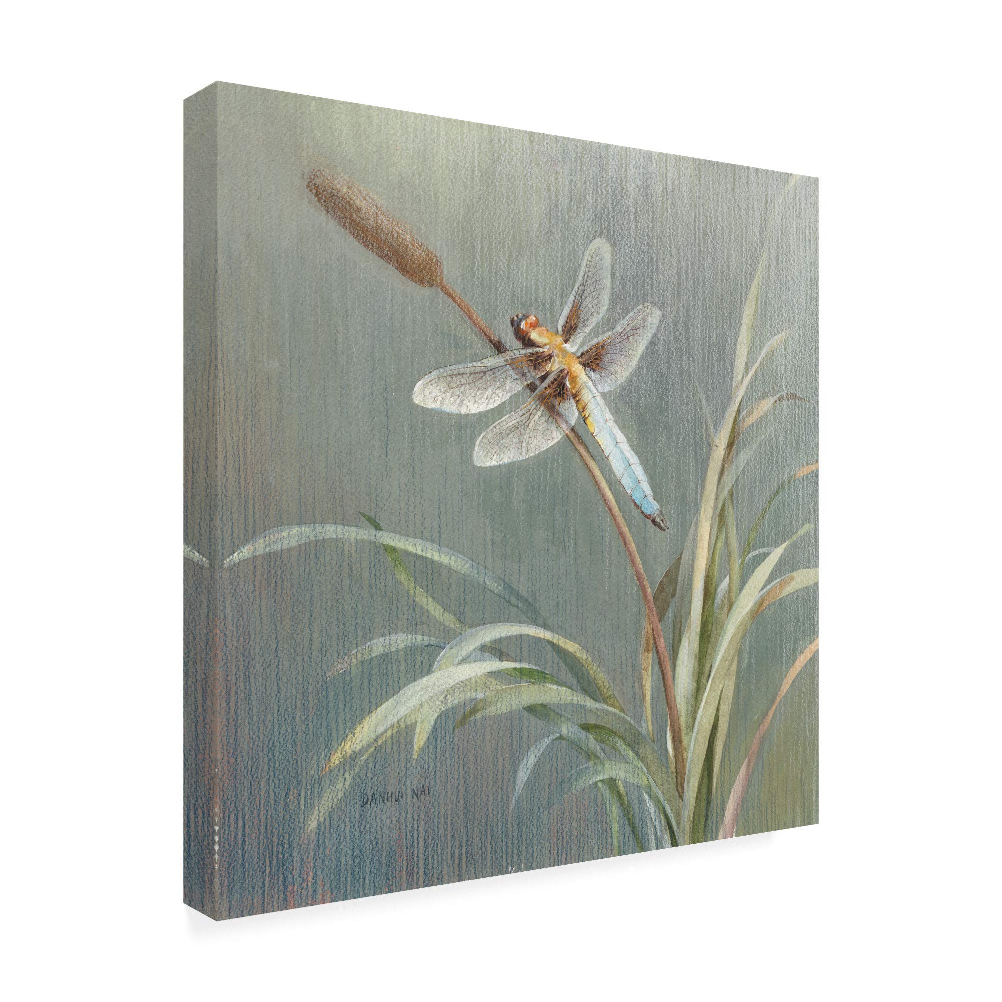 Danhui Nai Natural Detail IV 18x18 Fine Art Canvas Print - Perfect for Living Room, Bedroom & Office Wall Decor