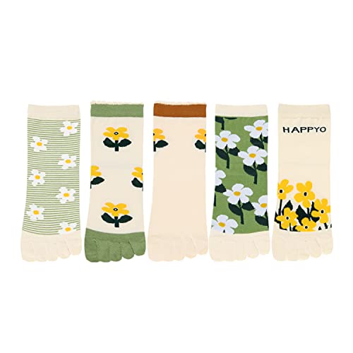 5 Pack-sunflower