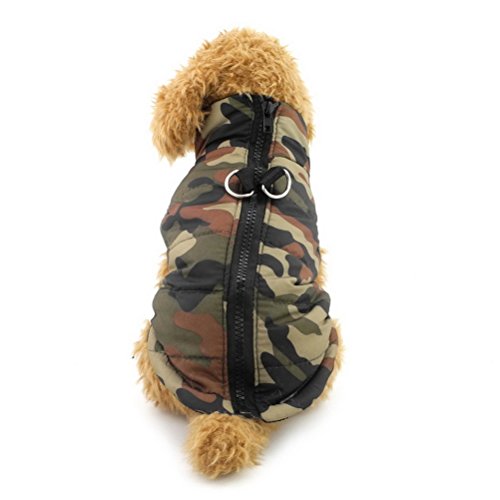 Camo