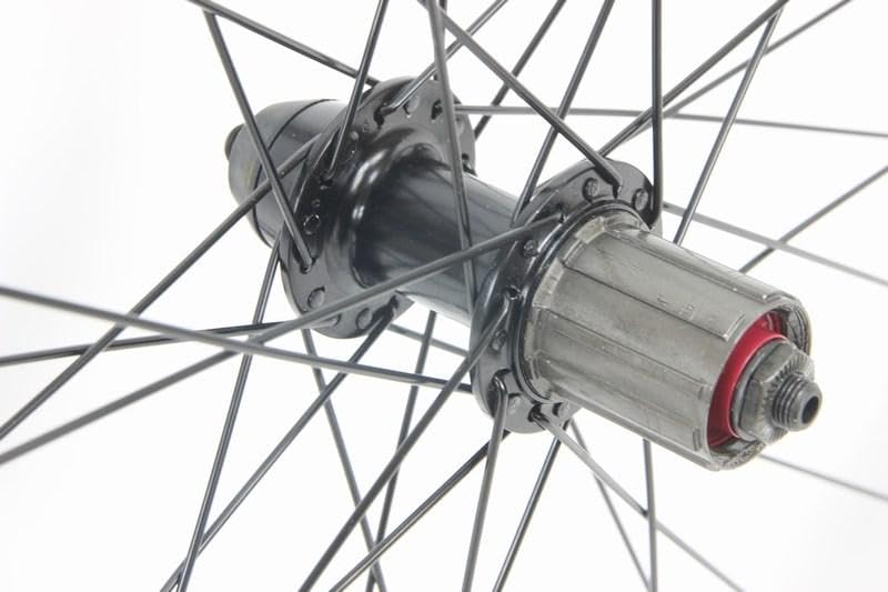 700c Weinmann DP18 Road Bike Wheelset - 700x28c Dynamic Sport Tires & Tubes Pair - Lightweight Alloy Rims for Racing, Training & Commuting - Perfect for Road Cycling Enthusiasts