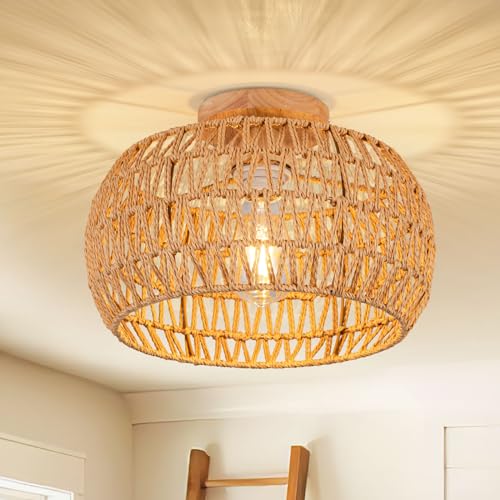 Brown-drum Light