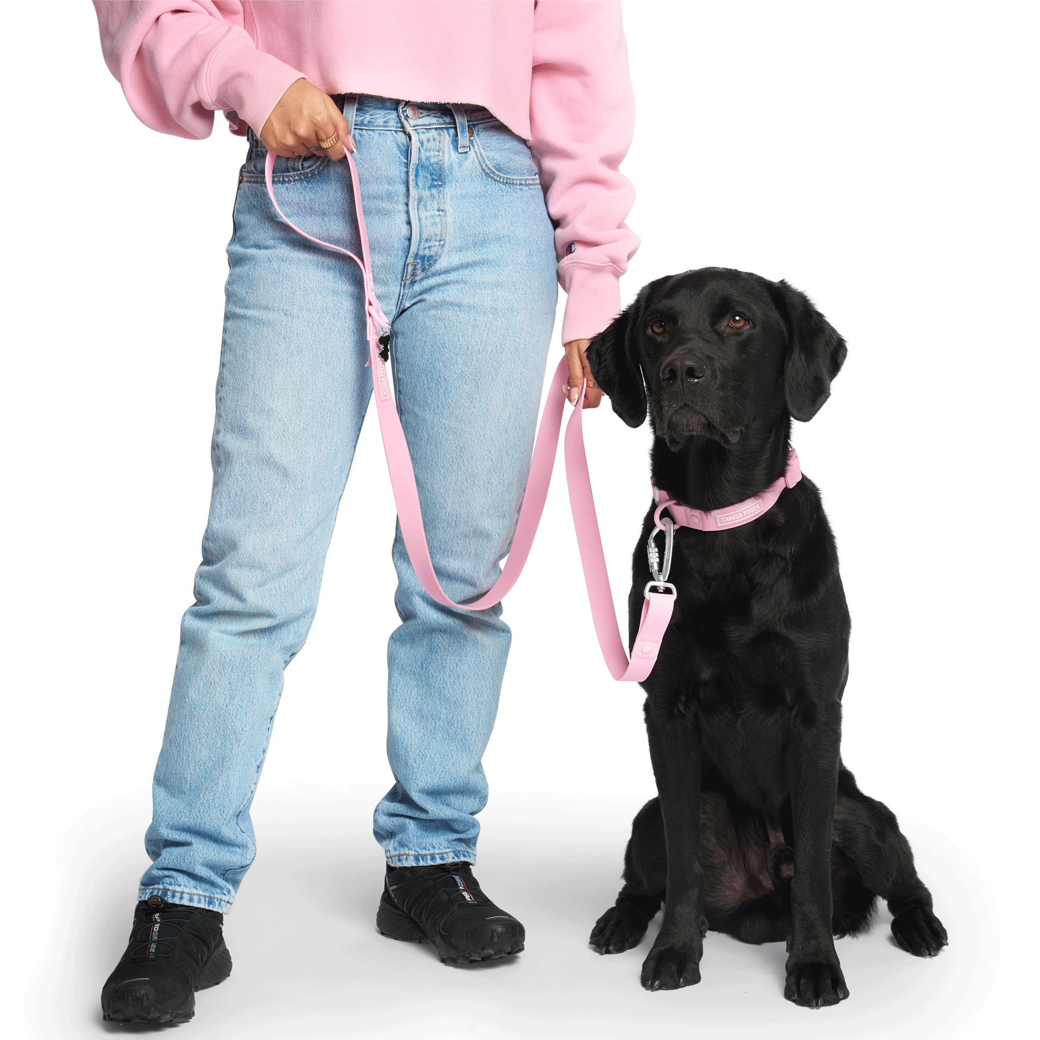 Barbie™ Waterproof Dog Leash - Pink Pet Walking Accessory for Small & Medium Dogs - Perfect for Outdoor Adventures, Beach Trips & Daily Walks