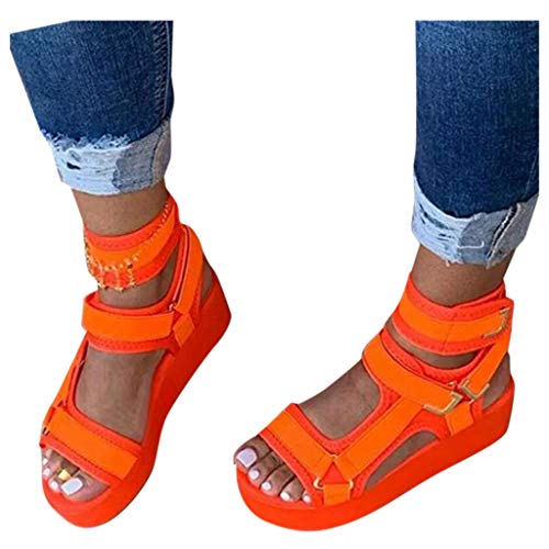 Z95-orange