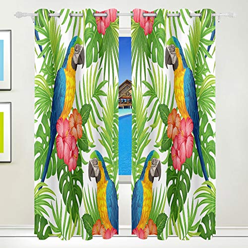 Tropical Plant 032