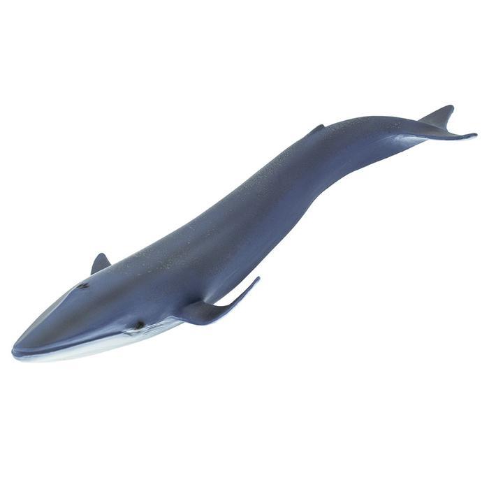 Blue Whale Figurine - Realistic Safari Ltd Ocean Animal Toy for Kids - Perfect for Educational Play, Collectors & Marine Life Decor