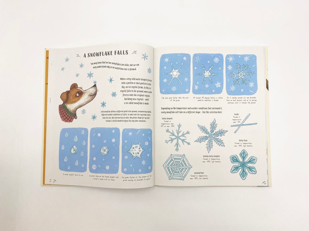 Rachel Williams: Slow Down - Illustrated by Freya Hartas | Children's Mindfulness Book for Relaxation & Bedtime Stories