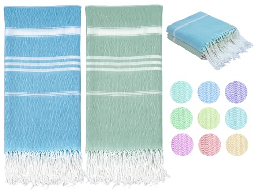2 Pack Aqgreen Blue Fan