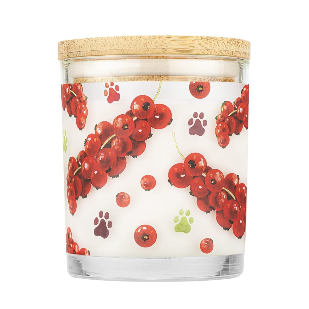One Fur All Pet House Candle 2 Pack - Soy Wax, Plant-Based, Clean Burning Scented Candles for Home - Long Lasting Pet Odor Eliminator - Red Currant Fragrance | Perfect for Living Rooms, Bedrooms & Pet-Friendly Spaces