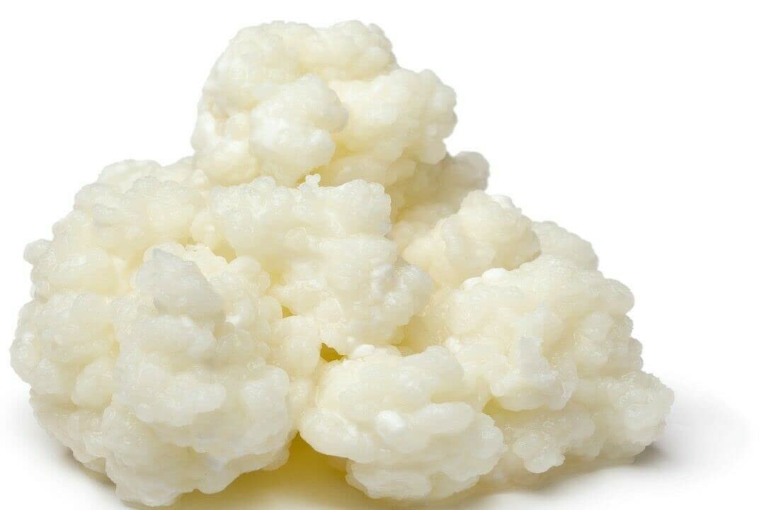 Organic Milk Kefir Grains Starter Kit - Live Probiotic Culture for Homemade Fermented Drinks with Whole Milk, Almond Milk, Goat Milk or Coconut Milk | Perfect for Gut Health, Smoothies & Healthy Breakfast