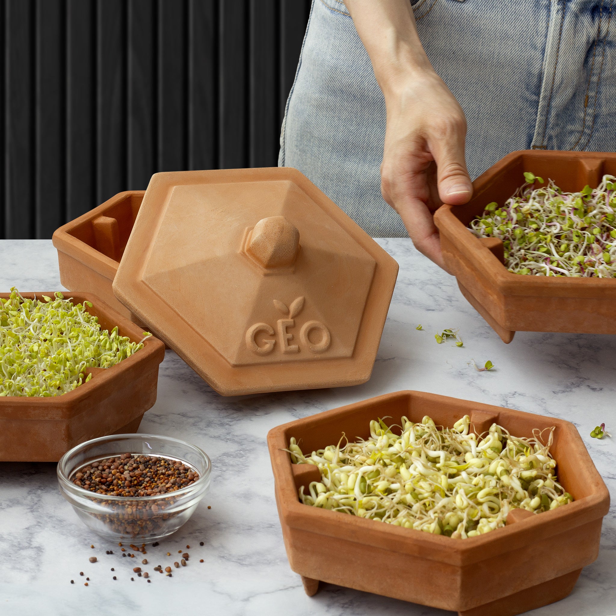 Organic 4-Tier Terracotta Sprouter - GEO Terradisiena Refurbished | Seed & Microgreen Growing Kit | Perfect for Indoor Herb Garden, Kitchen Countertop & Healthy Sprouting