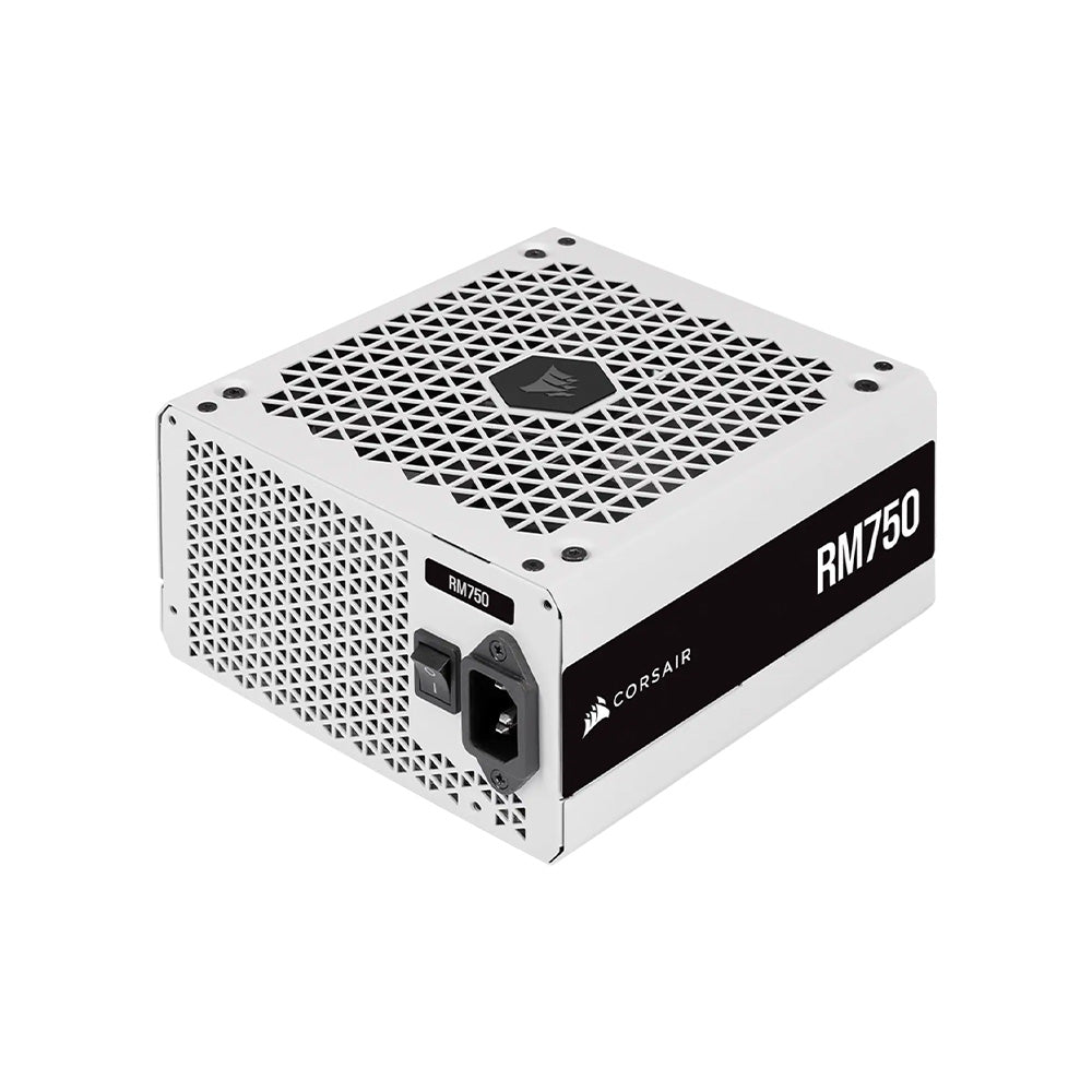 Corsair RM750 750W 80 Plus Gold Certified Fully Modular Power Supply (White) - High Efficiency PSU for Gaming PC, Workstation & Home Office Setup