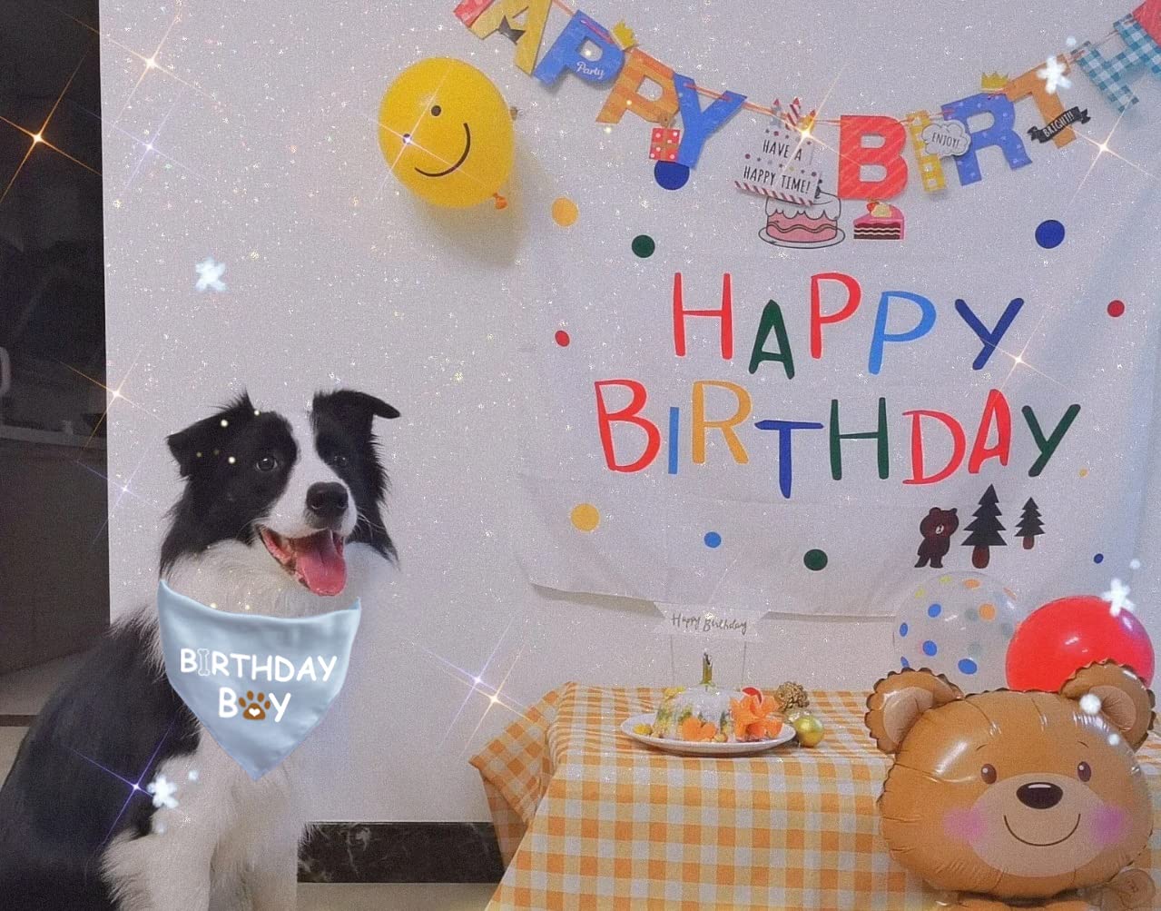 Dog Birthday Bandana for Small, Medium & Large Dogs - Cute Pet Birthday Accessories for Boy & Girl Puppies - Perfect for Birthday Parties & Photo Shoots
