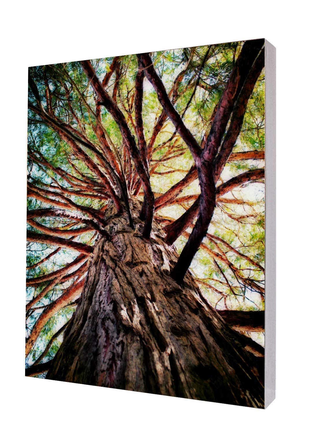 Tree I Wall Art - Urban Nature Photography Print for Home & Office Decor | Modern Landscape Artwork for Living Room, Bedroom, or Workspace