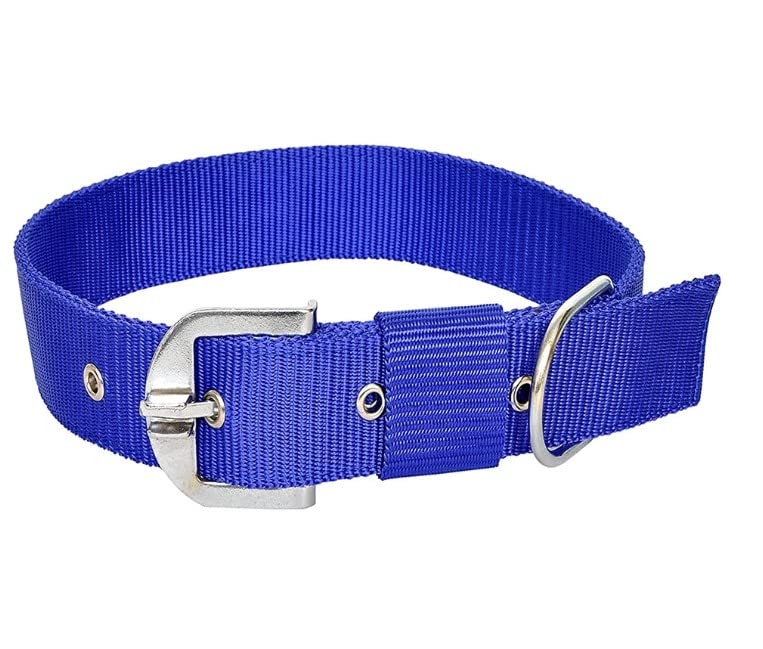 **JAPIN 1.25 Inch Comfortable Dog Collar Belts - 2 Pack Blue Adjustable Pet Neck Collar for Small Medium Dogs - Perfect for Daily Walks, Training & Outdoor Adventures**