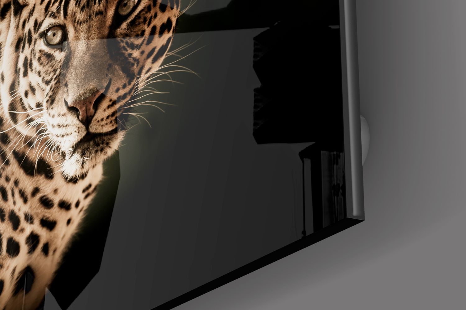 Leopard III Print Fashion Tops for Women - Trendy Animal Print Blouse for Casual Wear, Office Outfits & Night Out