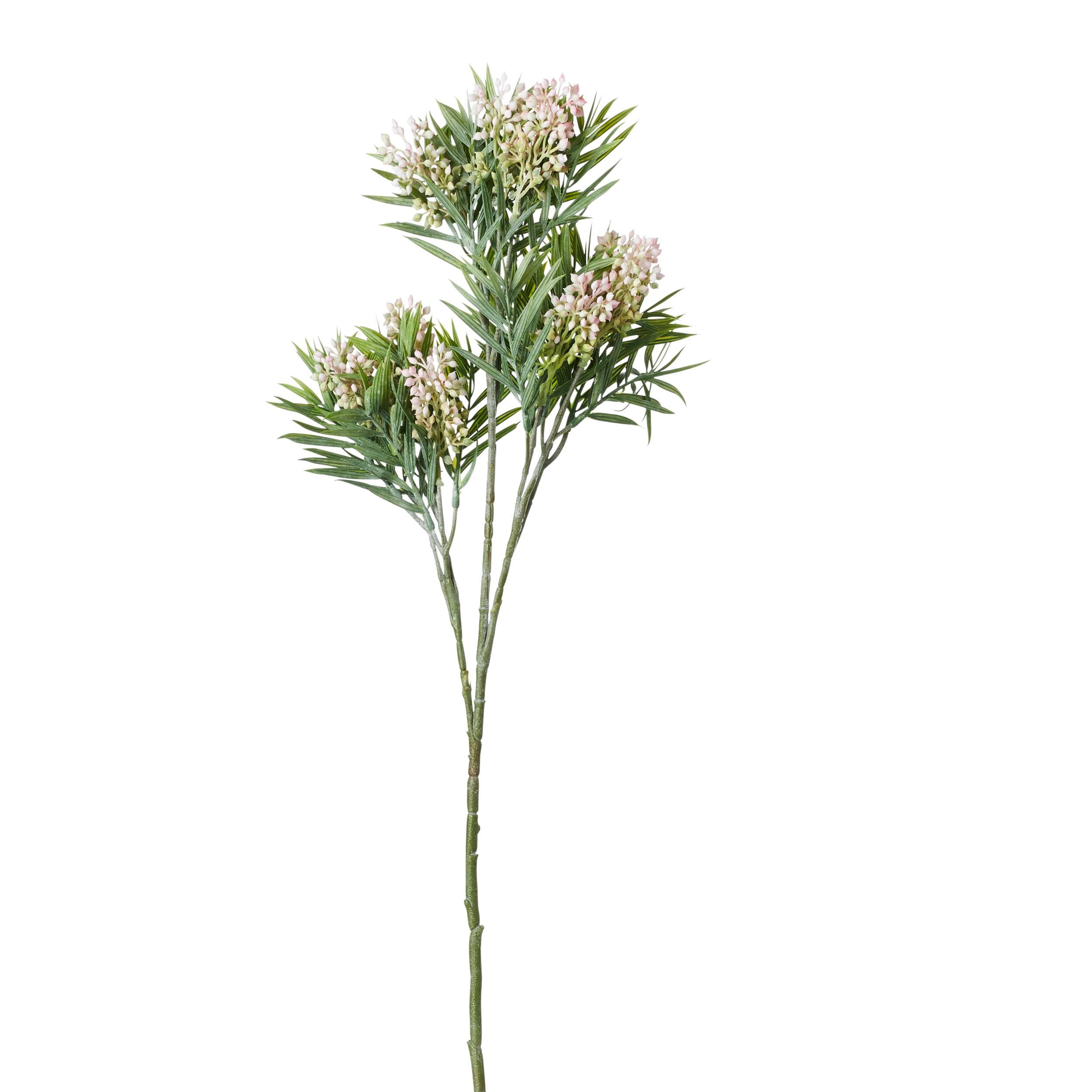 Premium Acacia Wood Stems 26 Inches - Natural Decorative Branches for Home Decor, Wedding Centerpieces, and DIY Floral Arrangements