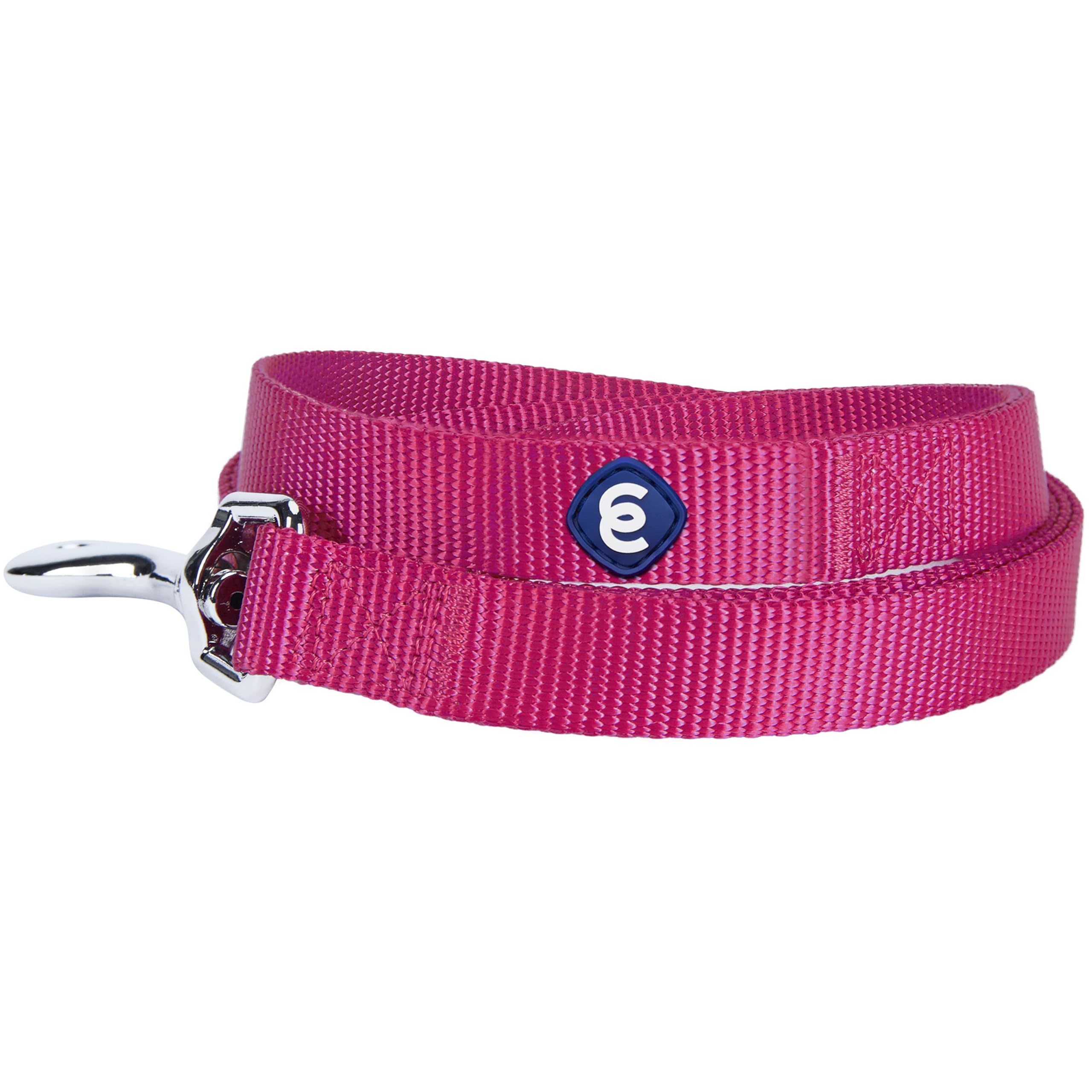 Premium Blueberry Pet Essentials Durable Nylon Dog Leash - 4ft x 1in Heavy Duty Leash for Large Dogs | Classic Training Leash with Comfortable Handle | Perfect for Walking, Running & Outdoor Adventures