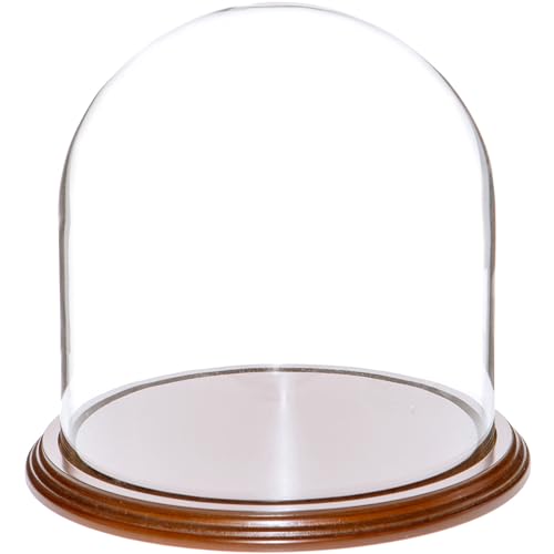 Walnut Veneer Base