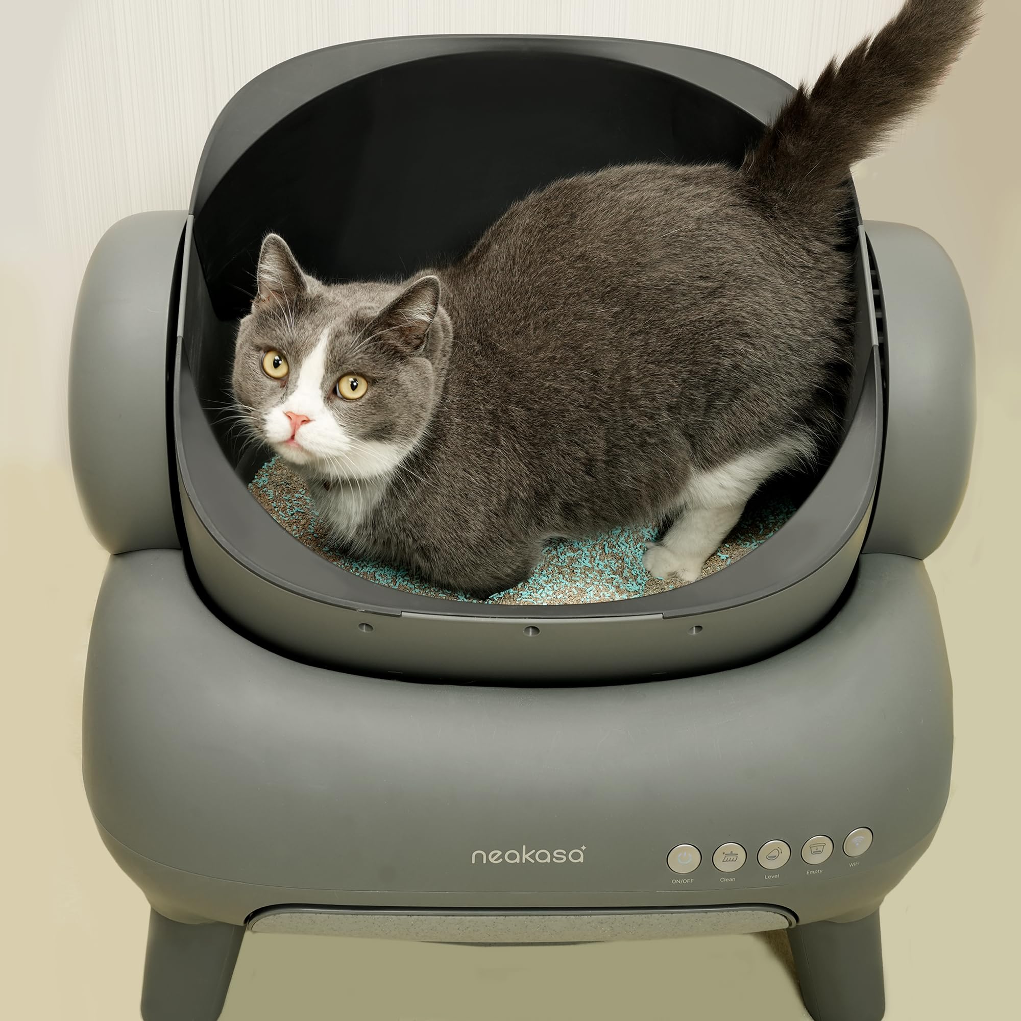 Premium Cat Litter Deodorizer Granules - Strong Odor Eliminator for Litter Box | Long-Lasting Freshness for Home & Multi-Cat Households | Ideal for Small Spaces & Pet Owners