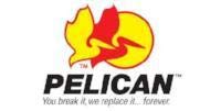 Pelican