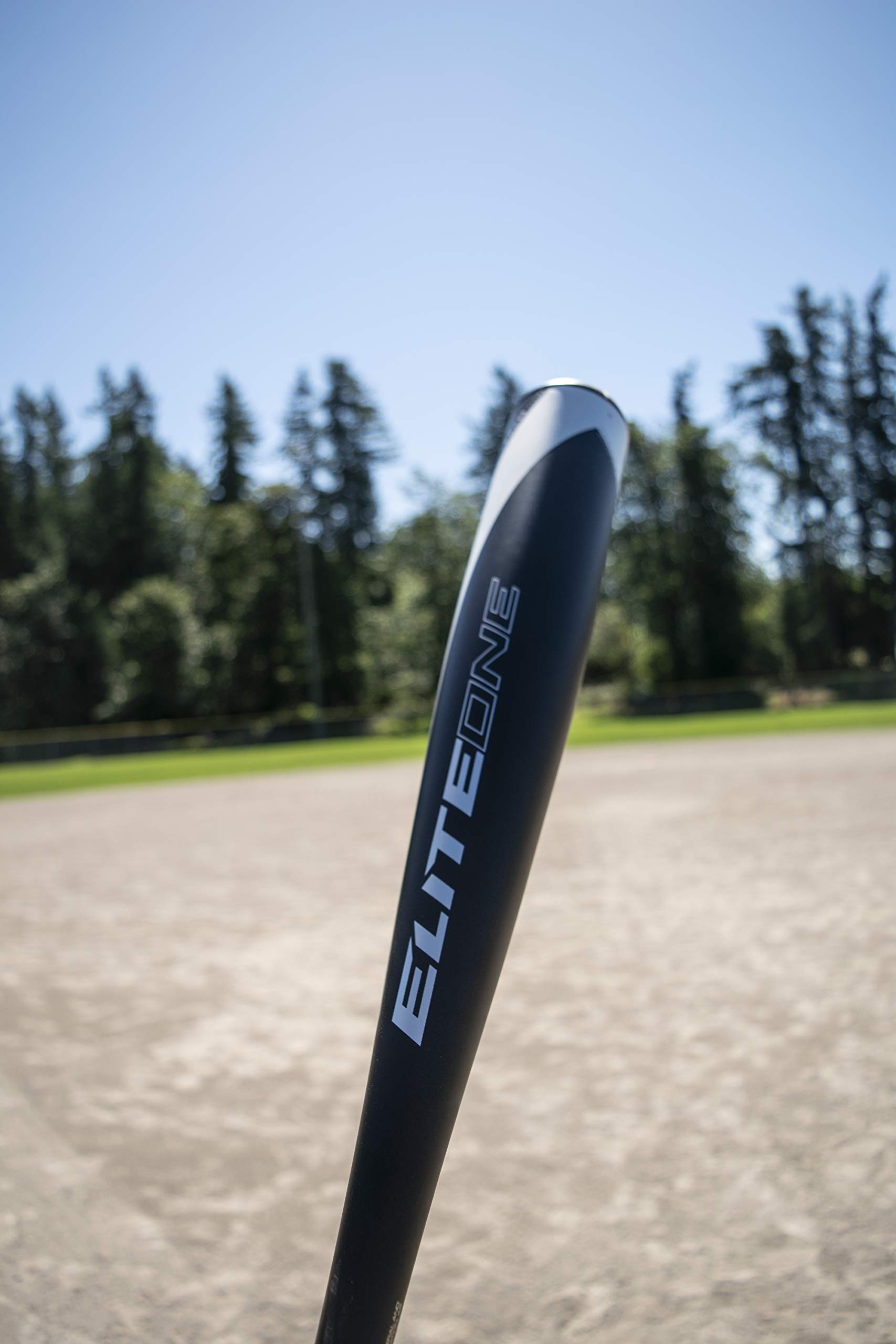Axe Bat 2020 Elite One - Premium Wood Baseball Bat for Power Hitters | Perfect for League Games, Training & Home Practice