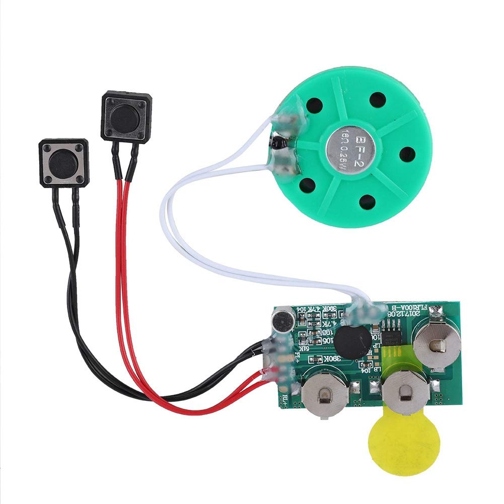 ASHATA 60s DIY Voice Recordable Greeting Card Chip for Gift Boxes & Crafts - Birthday/Wedding/Anniversary Use
