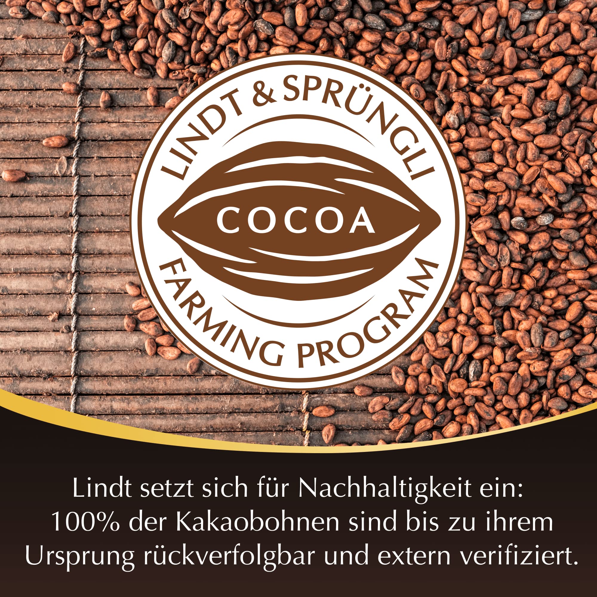 Lindt Lindor Dark Chocolate Balls 70% Cocoa - 500g Cornet (40 Pieces) with Smooth Melting Filling | Premium Dark Chocolate Gift for Holidays, Birthdays & Romantic Occasions