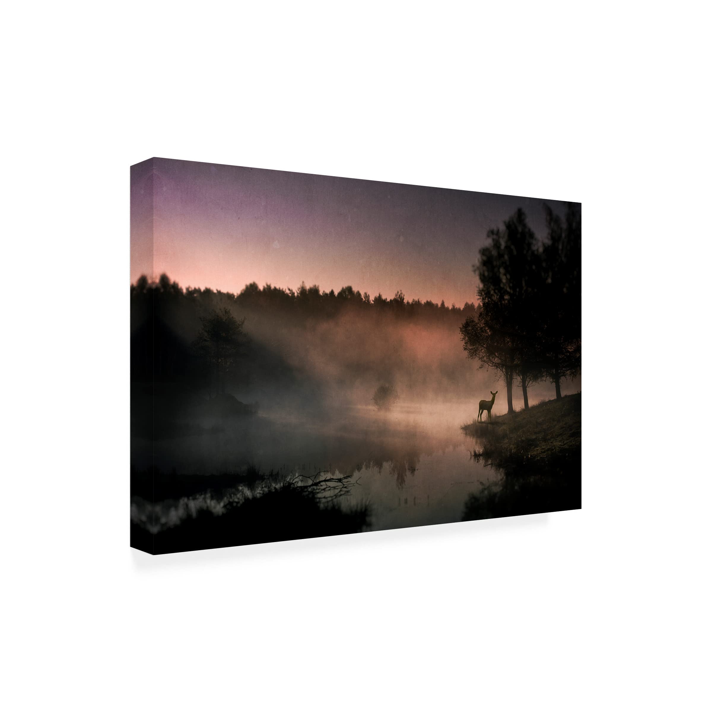 Trademark Fine Art 'Steamy Water' Canvas Wall Art by Wim Schuurmans - Modern Abstract Painting for Living Room, Bedroom & Office Decor