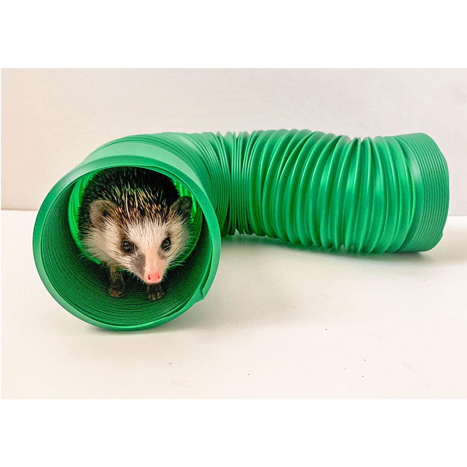 Xpand Tunnel - Expandable Garden Hose with No-Kink Technology | Perfect for Watering Plants, Washing Cars & Outdoor Cleaning