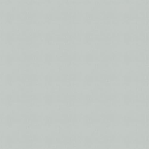 Silver Grey