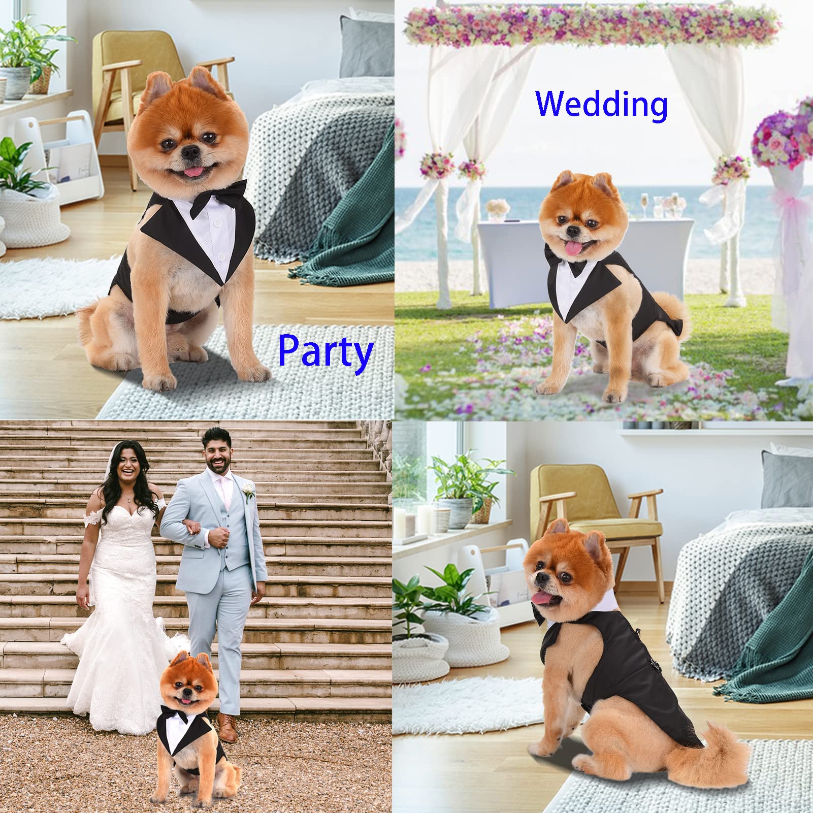 Dog Tuxedo & Bandana Set - Formal Wedding Suit for Small to Large Dogs (Black) for Pet Weddings & Parties