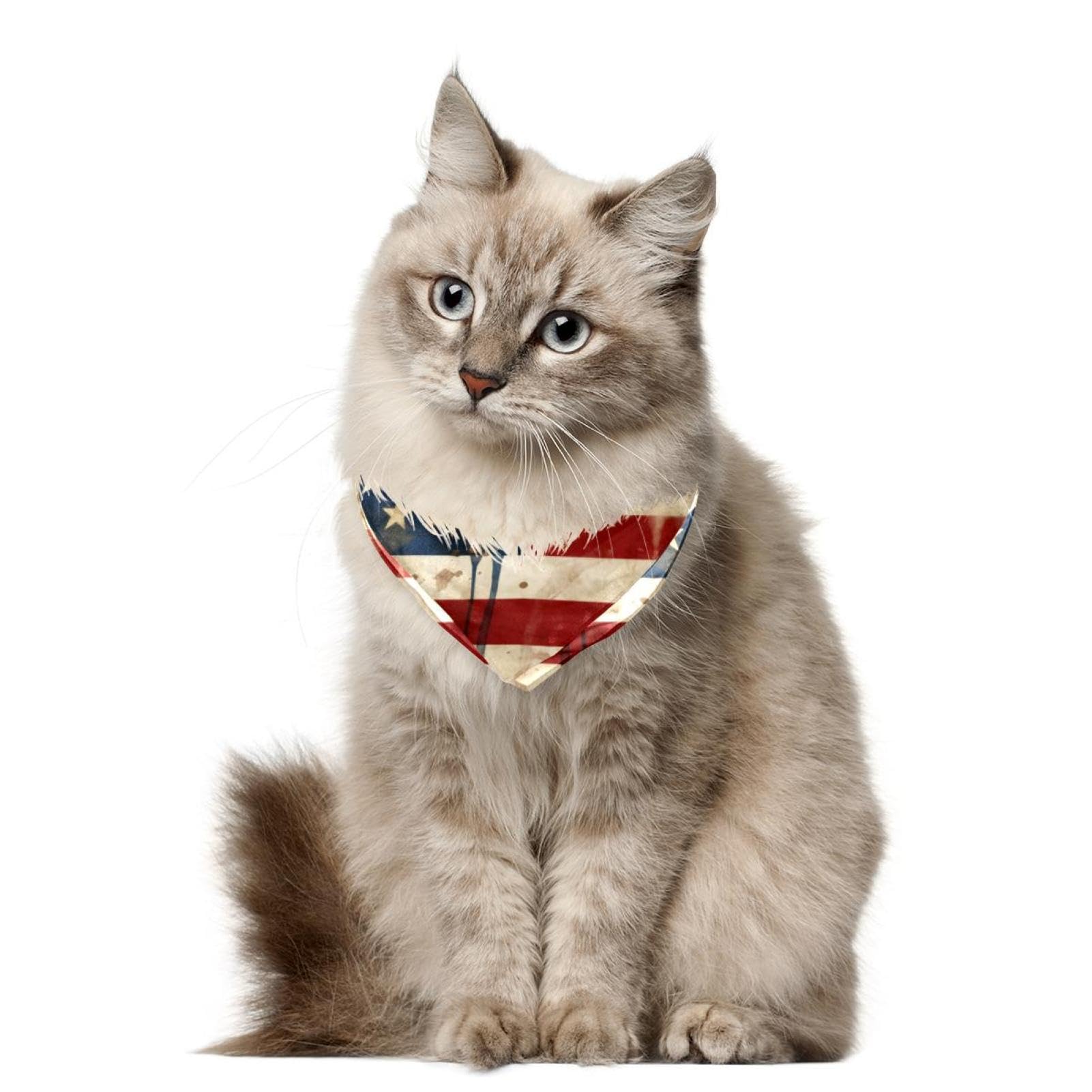 4th of July Dog Bandanas - 2-Piece Patriotic Pet Bandana Set for Independence Day, Dog Scarf & Pet Accessories for Dog Lovers | Perfect for Festive Celebrations, Pet Parades & Holiday Photo Shoots