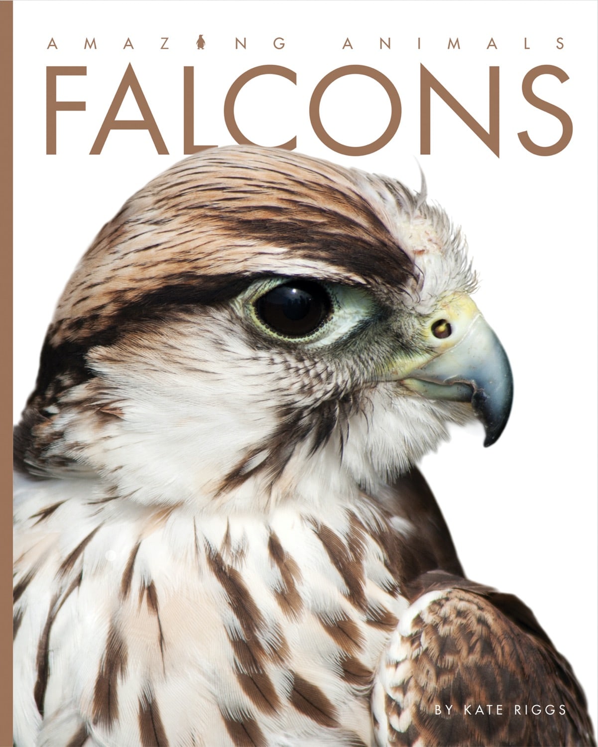 Amazing Animals (2014): Falcons - HD Wildlife Documentary | Bird of Prey Facts & Hunting Scenes | Perfect for Nature Lovers & Classroom Education